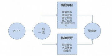 融資千萬(wàn)的“一品一家” 小農(nóng)經(jīng)濟(jì)互聯(lián)網(wǎng)化的突圍與挑戰(zhàn)
